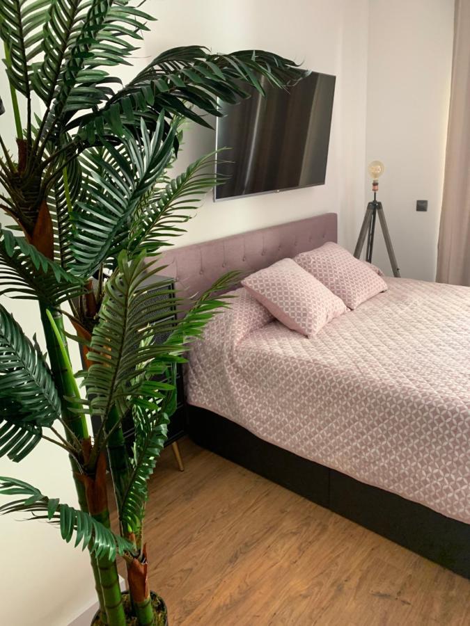 Loft De Lujo Con Piscina La Envia Lägenhet Vícar Exteriör bild